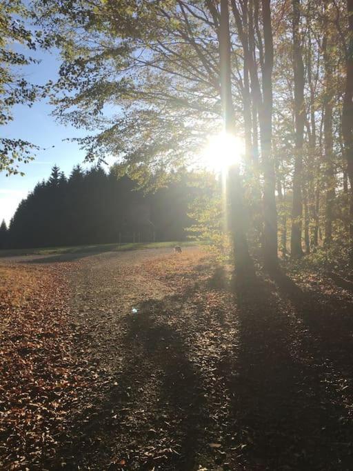Apartament Sauerlandblick Altena Zewnętrze zdjęcie